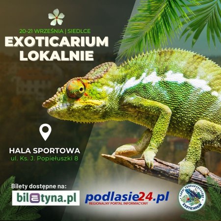 EXOTICARIUM LOKALNIE Targi Terrarystyczne Siedlce dwudniowe 20-21 września