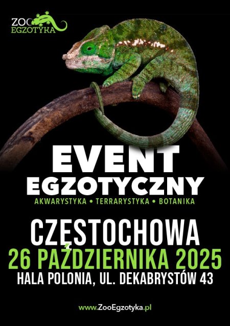 ZooEgzotyka - Częstochowa