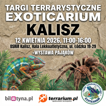Kalisz - Targi Terrarystyczne Exoticarium + Wystawa Pająków