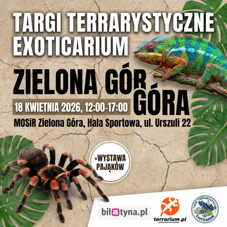 Zielona Góra - Targi Terrarystyczne Exoticarium + Wystawa Pająków