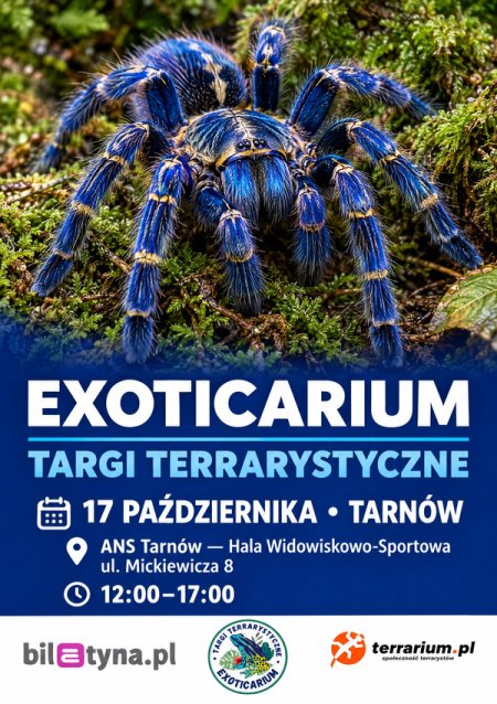 Tarnów - Targi Terrarystyczne Exoticarium + Wystawa Pająków