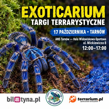 Tarnów - Targi Terrarystyczne Exoticarium + Wystawa Pająków