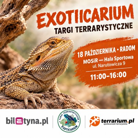Radom - Targi Terrarystyczne Exoticarium + Wystawa Pająków