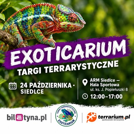 Siedlce - Targi Terrarystyczne Exoticarium + Wystawa Pająków