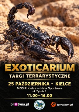 Kielce - Targi Terrarystyczne Exoticarium + Wystawa Pająków