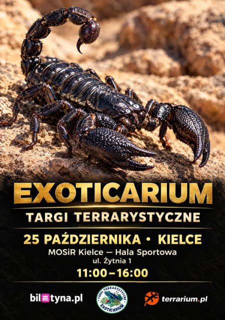 Kielce - Targi Terrarystyczne Exoticarium + Wystawa Pająków