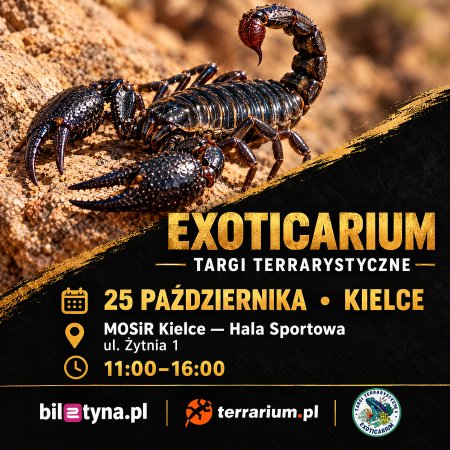 Kielce - Targi Terrarystyczne Exoticarium + Wystawa Pająków