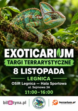 Legnica - Targi Terrarystyczne Exoticarium + Wystawa Pająków