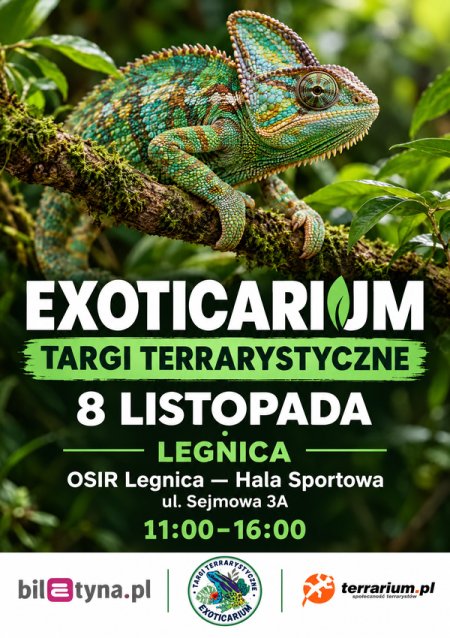 Legnica - Targi Terrarystyczne Exoticarium + Wystawa Pająków