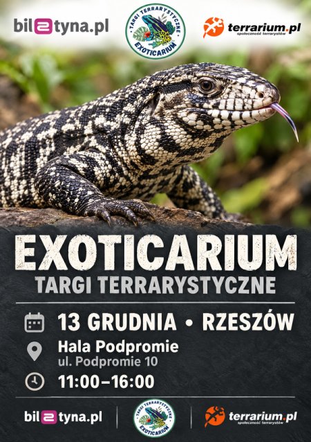 Rzeszów - Targi Terrarystyczne Exoticarium + Wystawa Pająków