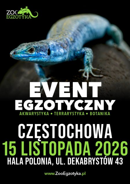 ZooEgzotyka - Częstochowa