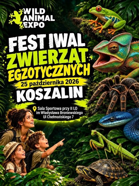 Wild Animal Expo – Targi Zwierząt Egzotycznych w Koszalinie –  25 Październik 2026