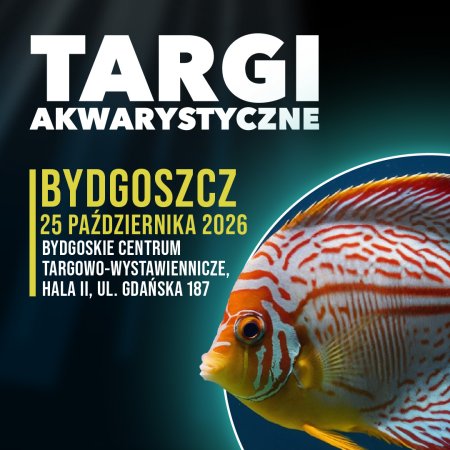 Targi Akwarystyczne - Bydgoszcz