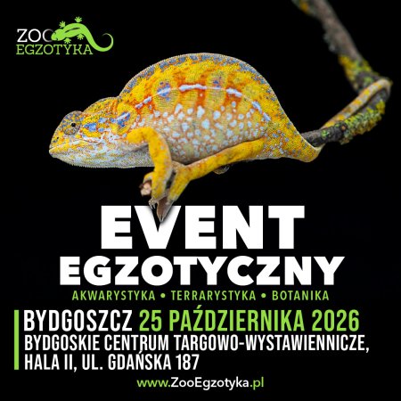 ZooEgzotyka - Bydgoszcz