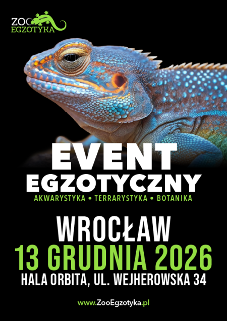 ZooEgzotyka Wrocław