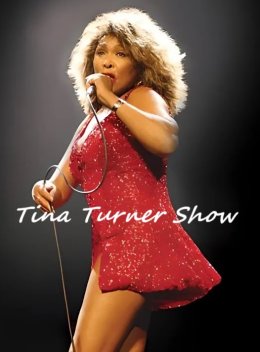 Tina Turner Show
