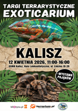 Kalisz - Targi Terrarystyczne Exoticarium + Wystawa Pająków